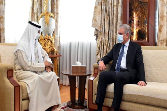 Qureshi, UAE minister discuss bilateral ties, investment