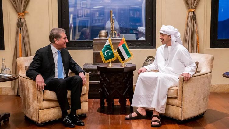 UAE FM telephones Qureshi, extends condolences on Pakistani's death in terrorist attack
