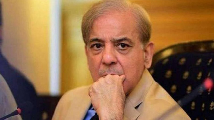PM Shehbaz thanks Sheikh Nahayan Mabarak Al Nahayan for donation