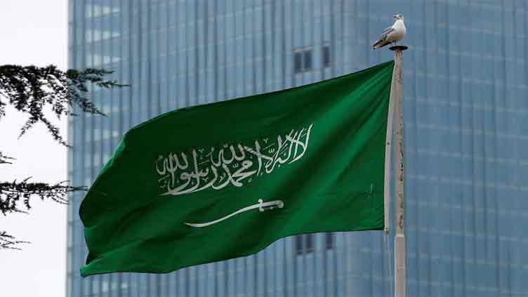 Saudi Arabia interested in acquiring Reko Diq stakes: Pakistan