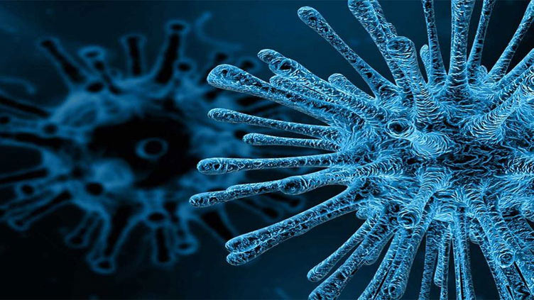 Poliovirus found in environmental samples from Peshawar, Dera Bugti 