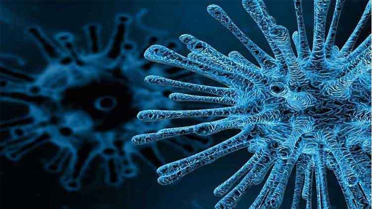 Poliovirus found in nine environmental samples