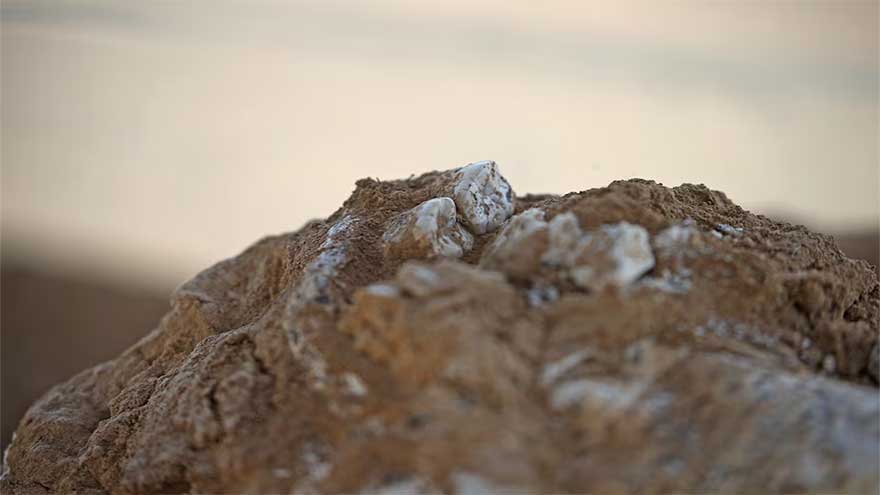 Archaeologists in Georgia unearth 1.8-million-year-old human jawbone