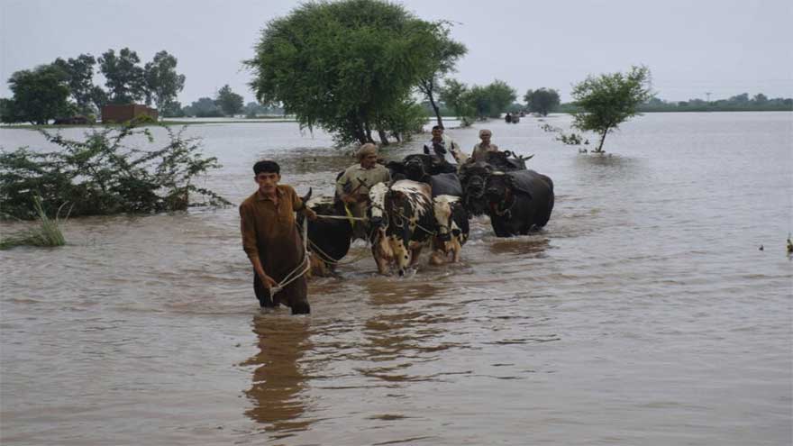 Pakistan receives third batch of humanitarian aid from China for flood affectees