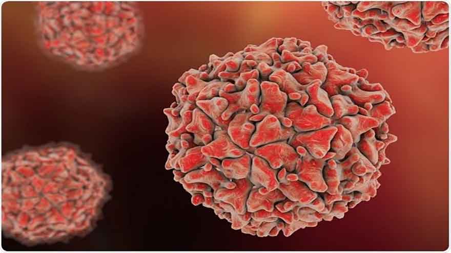 Two new polio cases confirmed in Lakki Marwat and North Waziristan